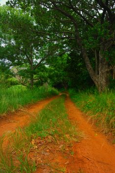 A dirt road