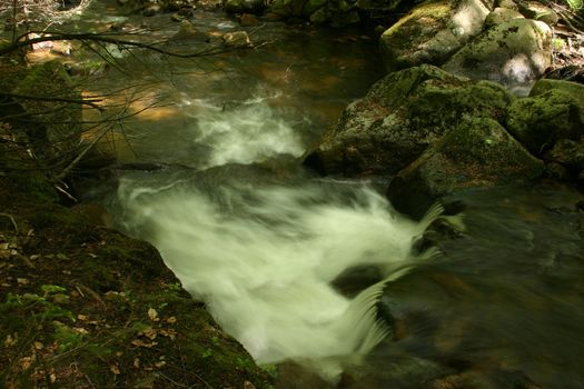 Mountain stream "Ilse" in the National Park "Upper Harz" in Saxony-Anhalt / Germany


