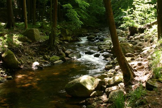 Mountain stream "Ilse" in the National Park "Upper Harz" in Saxony-Anhalt / Germany

