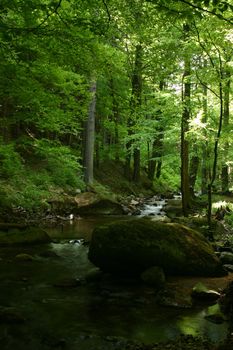 Mountain stream "Ilse" in the National Park "Upper Harz" in Saxony-Anhalt / Germany

