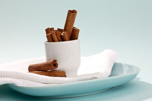 food series: cinnamon sticks in white cup