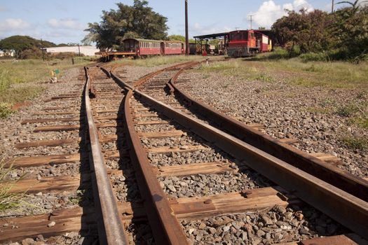 Old rusty tropical train tracks