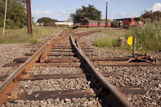 Old rusty tropical train tracks