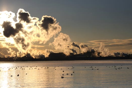 Sunrise Through Steam