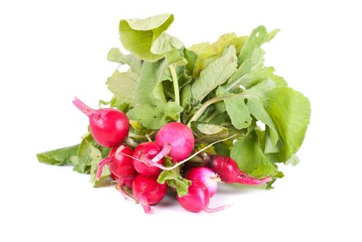 Fresh radishes isolated on  a white background
