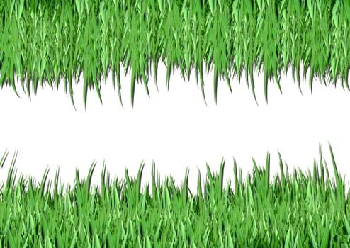 Over view of grass on white background