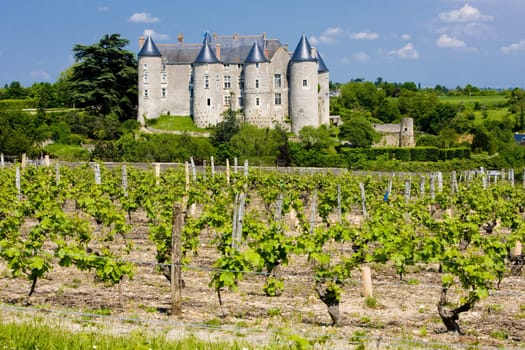 Luynes Castle with vineyard, Indre-et-Loire, Centre, France