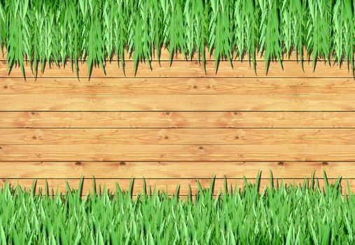 Grass, wood frame with the background