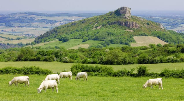 La Roche de Solutr�, Burgundy, France