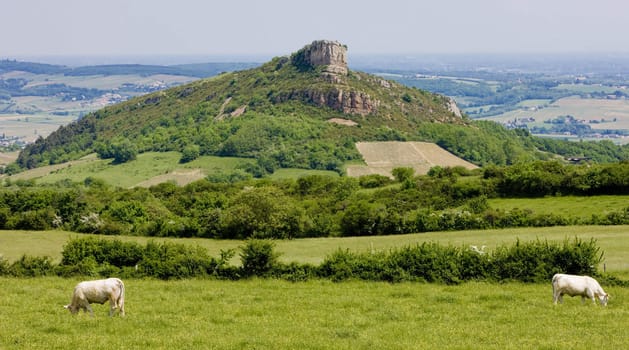 La Roche de Solutr�, Burgundy, France