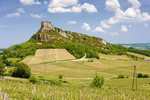 La Roche de Solutr� with vineyards, Burgundy, France