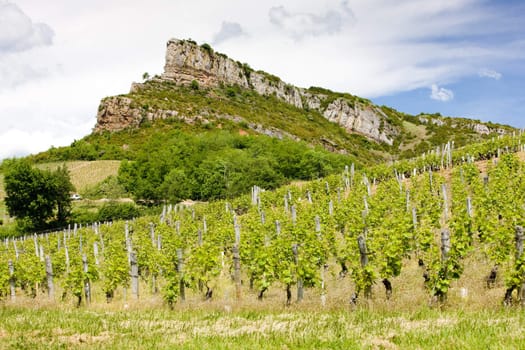 La Roche de Solutr� with vineyards, Burgundy, France