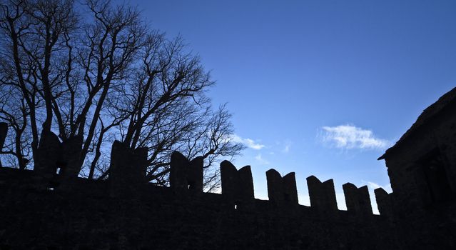 Bellinzona(Swiss)