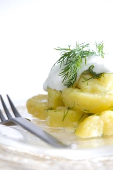 German potato salad