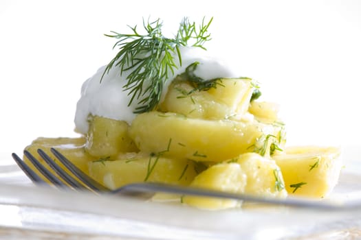 German potato salad