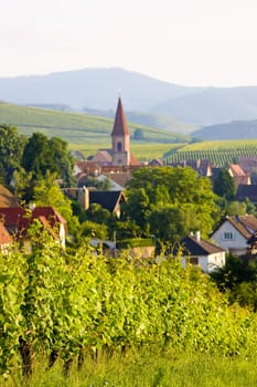 Wettolsheim, Alsace, France