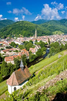 grand cru vineyard and Chapel of St. Urban, Thann, Alsace, France