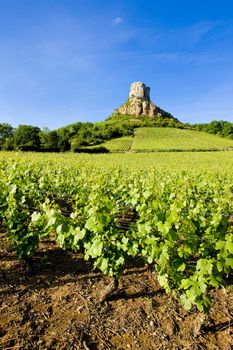 La Roche de Solutr� with vineyards, Burgundy, France