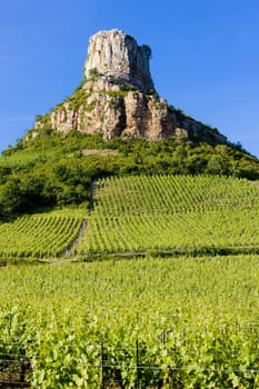 La Roche de Solutr� with vineyards, Burgundy, France