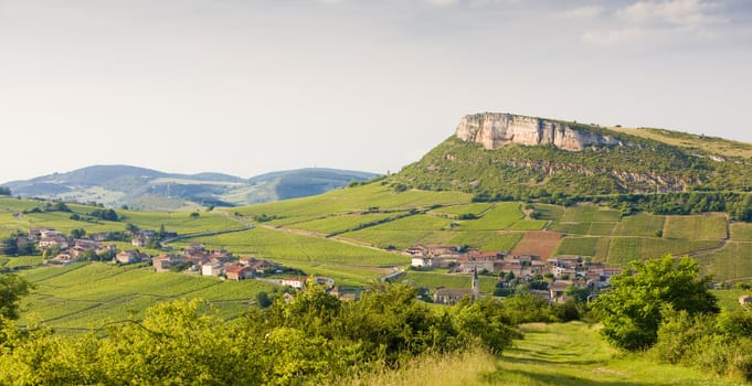 environment of La Roche de Solutr� with vineyards, Burgundy, France