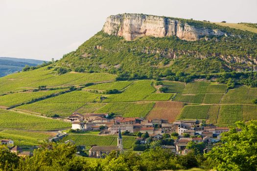 environment of La Roche de Solutr� with vineyards, Burgundy, France