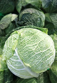Fresh cabbage at a farmer's market.