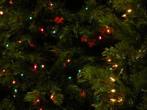 Christmas lights hanging on a tree display