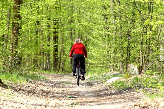 Biker in action. Road in summer forest