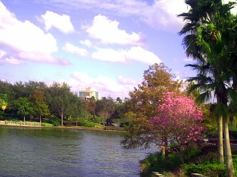 A blue sky with traces of a lavender color is in tune with the beauty of a colorful nature. 