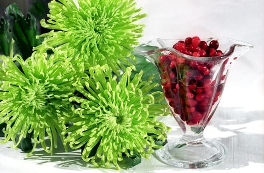  Red berry in glass and green chrysanthemums