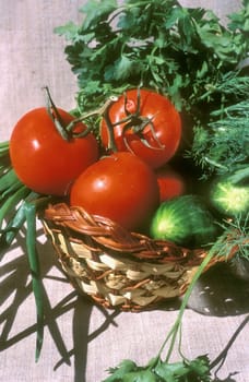 Basket with tomatoes, cucumbers and potherbs