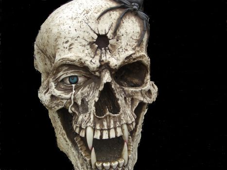 A one-eyed abstract of a human skull with a bullet hole in between the eyes, a tarantula hanging on the forehead and four vampire teeth.