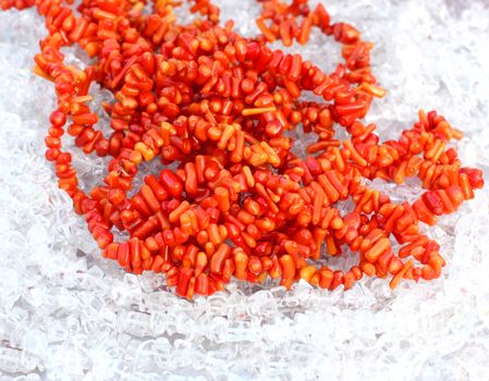 Close up of the orange corals on the rock crystals