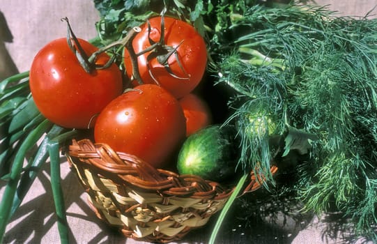 Vegetable and potherbs close up