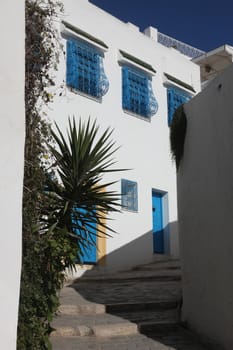 Sidi Bou Said - typical building with white walls, blue doors and windows