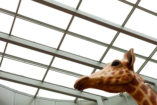 Funny giraffe sculpture under contemporary steel and glass skylight/ceiling.
