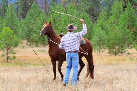 Cowboy working his horse in the field
