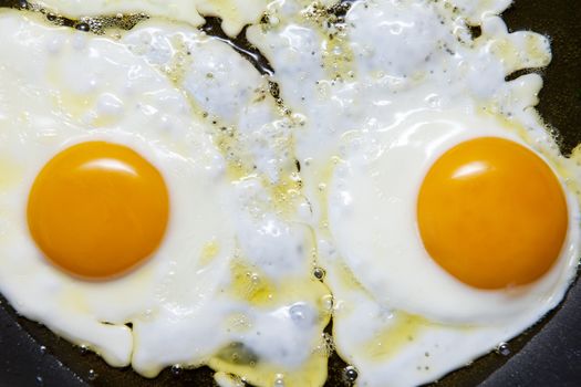Fried eggs on the frying pan