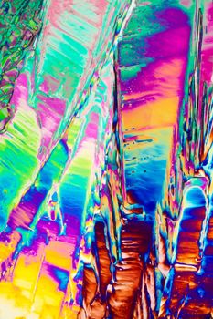 Colorful appearence of crystals of benzoic acid in polarized light.