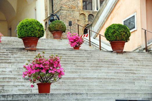 Staircase with flowerpots in center of Padua, Italy