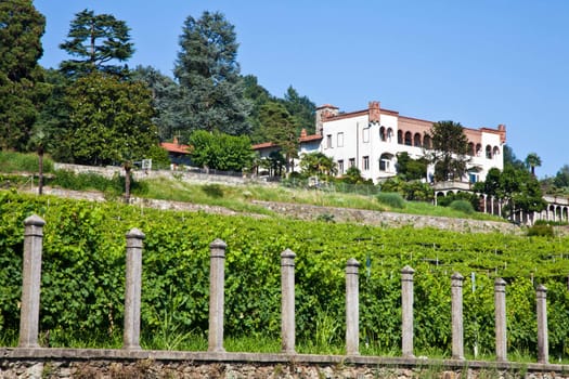 Tuscany, Italy. Italian luxury villa in the country, close to a Lambrusco vineyard