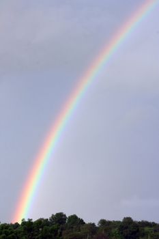 Part of the rainbow arc against the stormy sky, green trees at the bottom of the crown