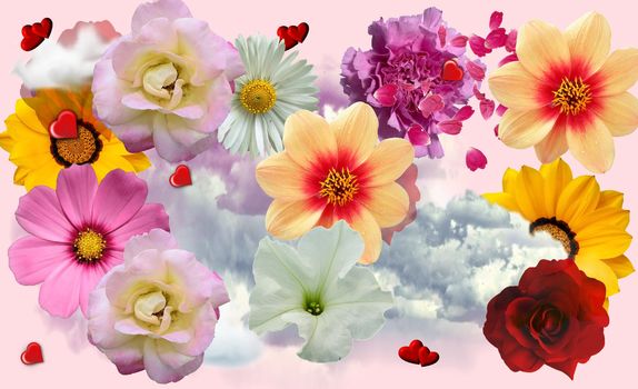 flower collage