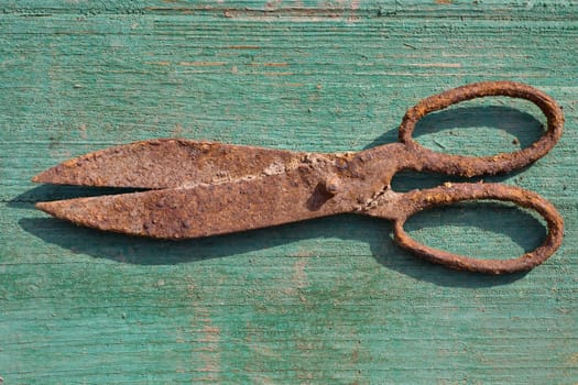 rusty vintage shears on green wooden  background