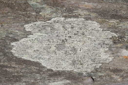 A central patch of lichen with dark edge on a multicoloued area of slate.