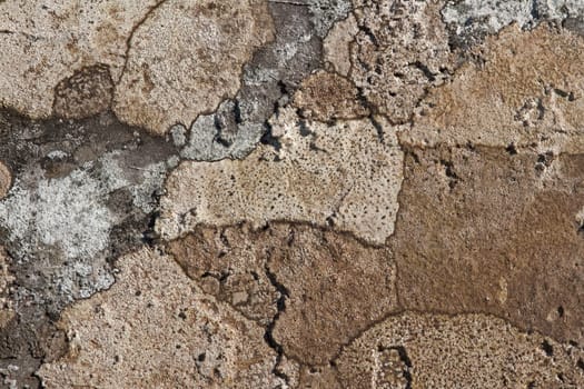 Patches of map lichen, brown and dark cream on slate stone.