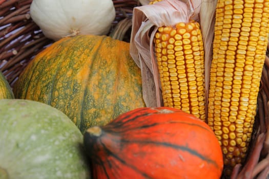 Autumn Harvest