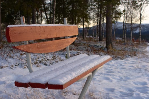 A park bench in evening sun covered in the first autumn snow