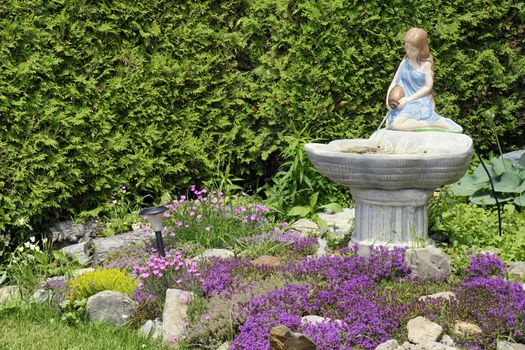 Beautiful landscaping / front yard curb appeal: young roman or greek style woman statue pouring water into a fountain, surrounded by a great variety of flowers with thyme in purple bloom and a wall of cedar trees.