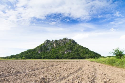 The mountains and the green area.